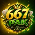 667PAK Game